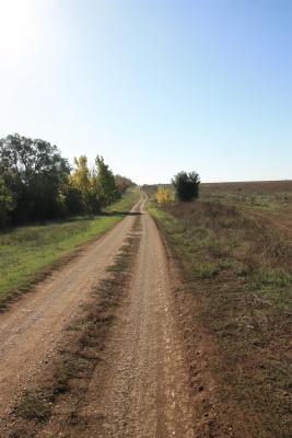 Прикрепленное изображение: IMG_0758.JPG